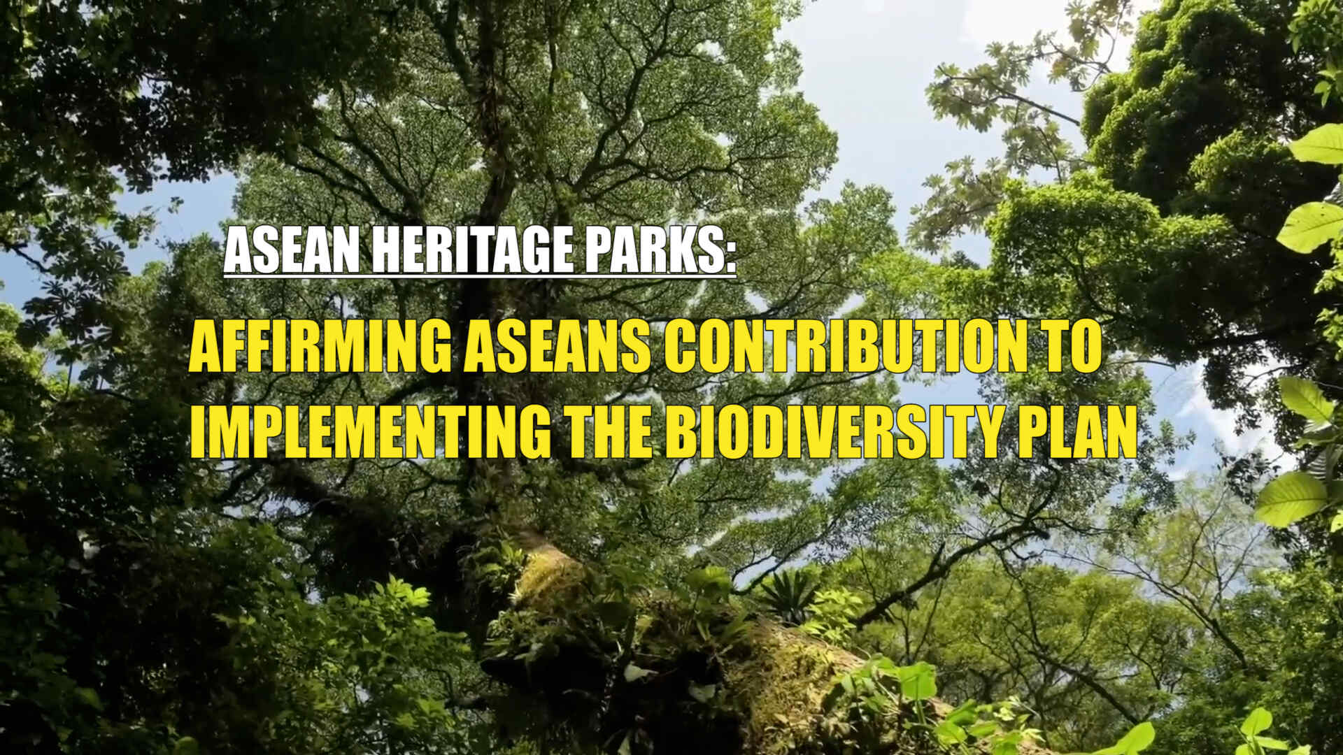 ASEAN heritage parks: Affirming ASEAN’s contribution to implementing the biodiversity plan